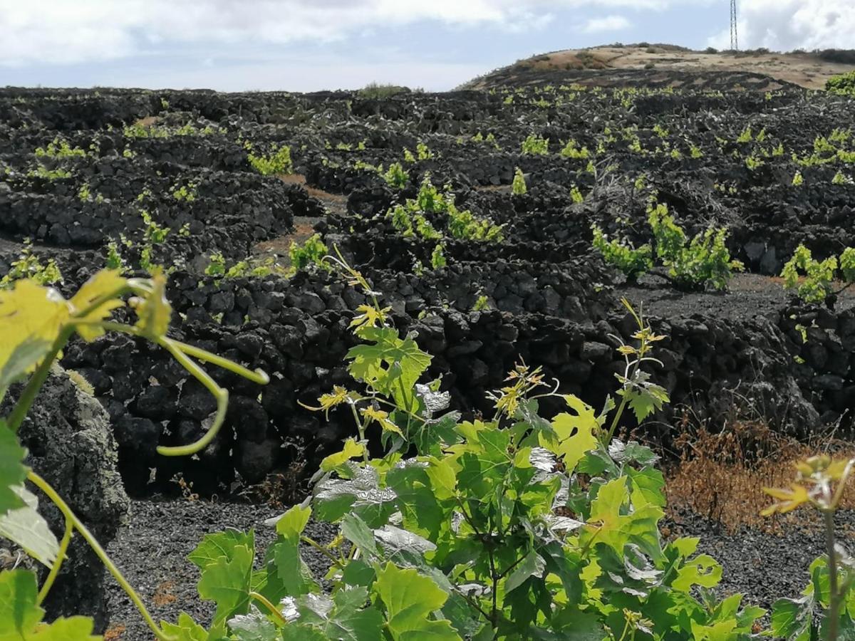 Casa Rosa Villa Puerto Calero Eksteriør bilde