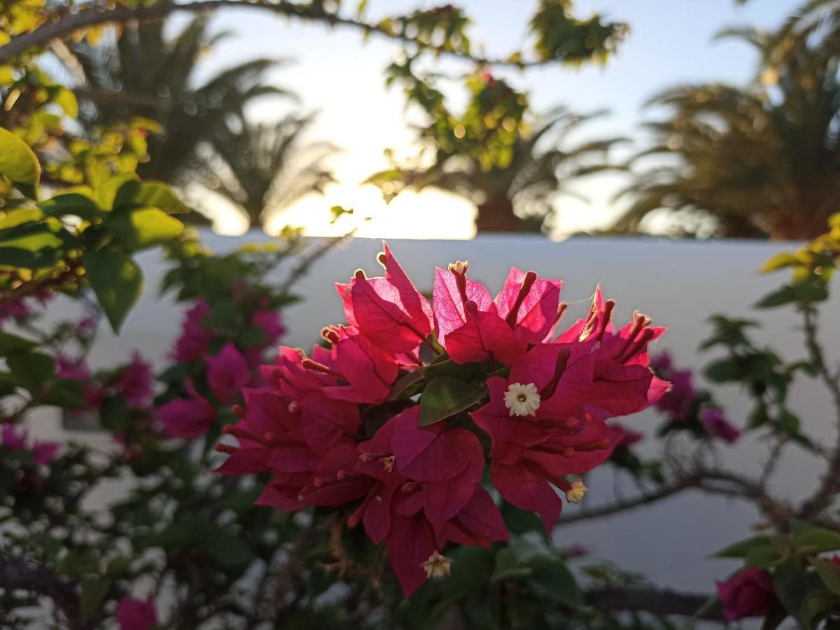 Casa Rosa Villa Puerto Calero Eksteriør bilde